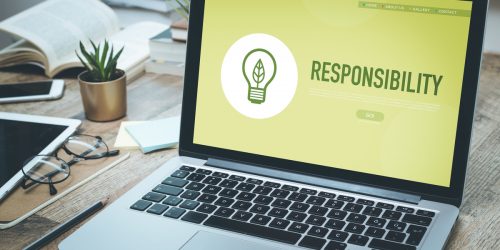 Responsabilité Sociétale Environnementale (RSE)